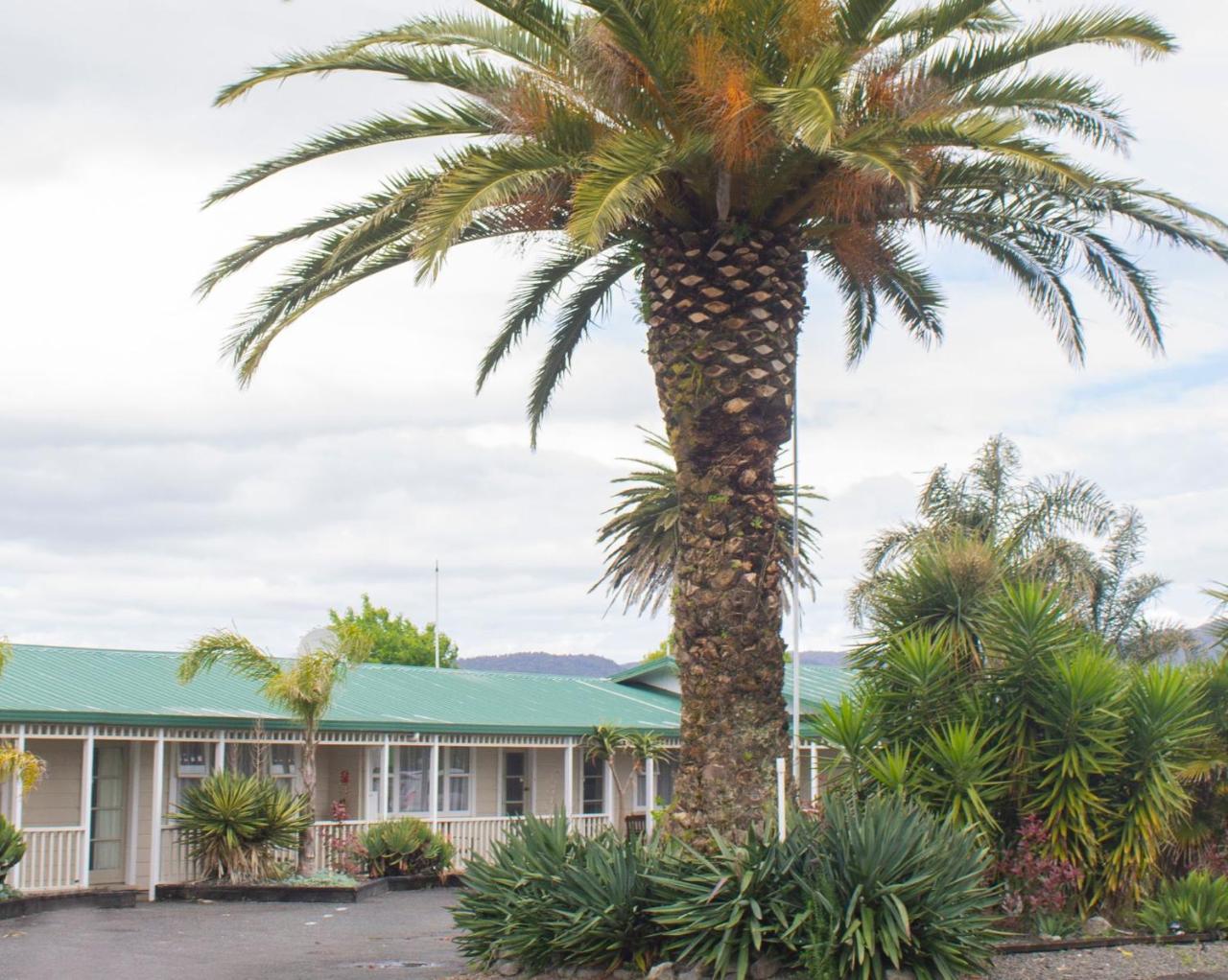 Palm Motel Waihi Exterior foto
